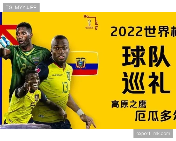 厄瓜多尔队2026世界杯前景分析 高原雄鹰能否再现黑马本色